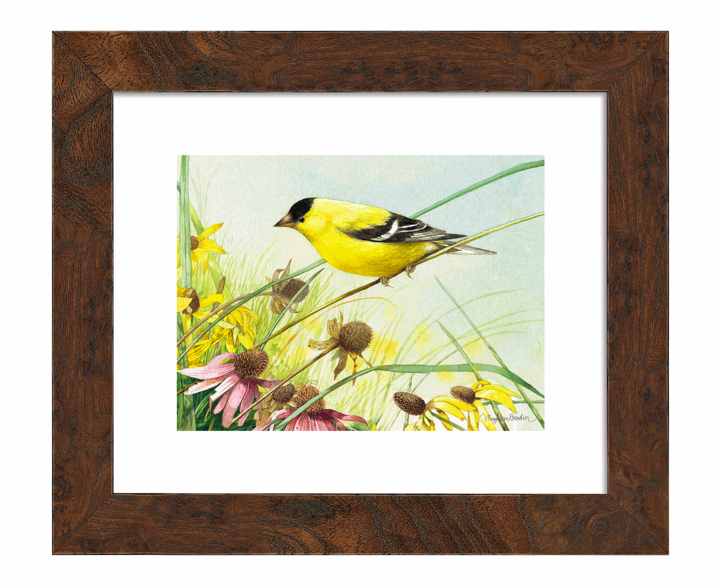 Breathtaking Prairie - Art Prints