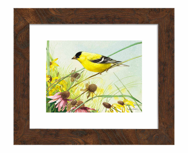 Breathtaking Prairie - Art Prints