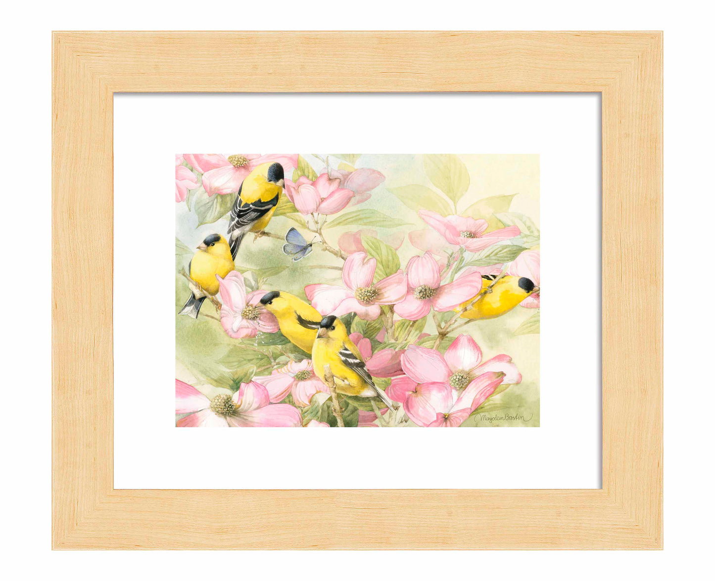 Crowded Dogwood - Art Prints