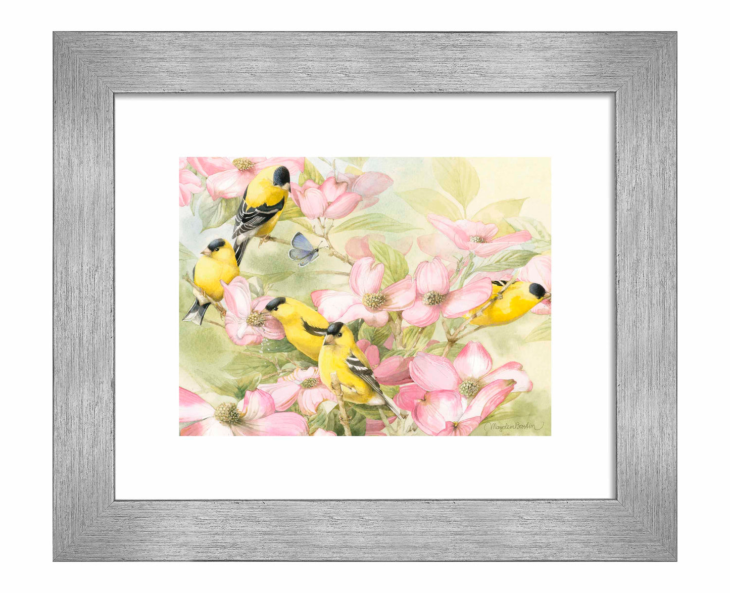 Crowded Dogwood - Art Prints
