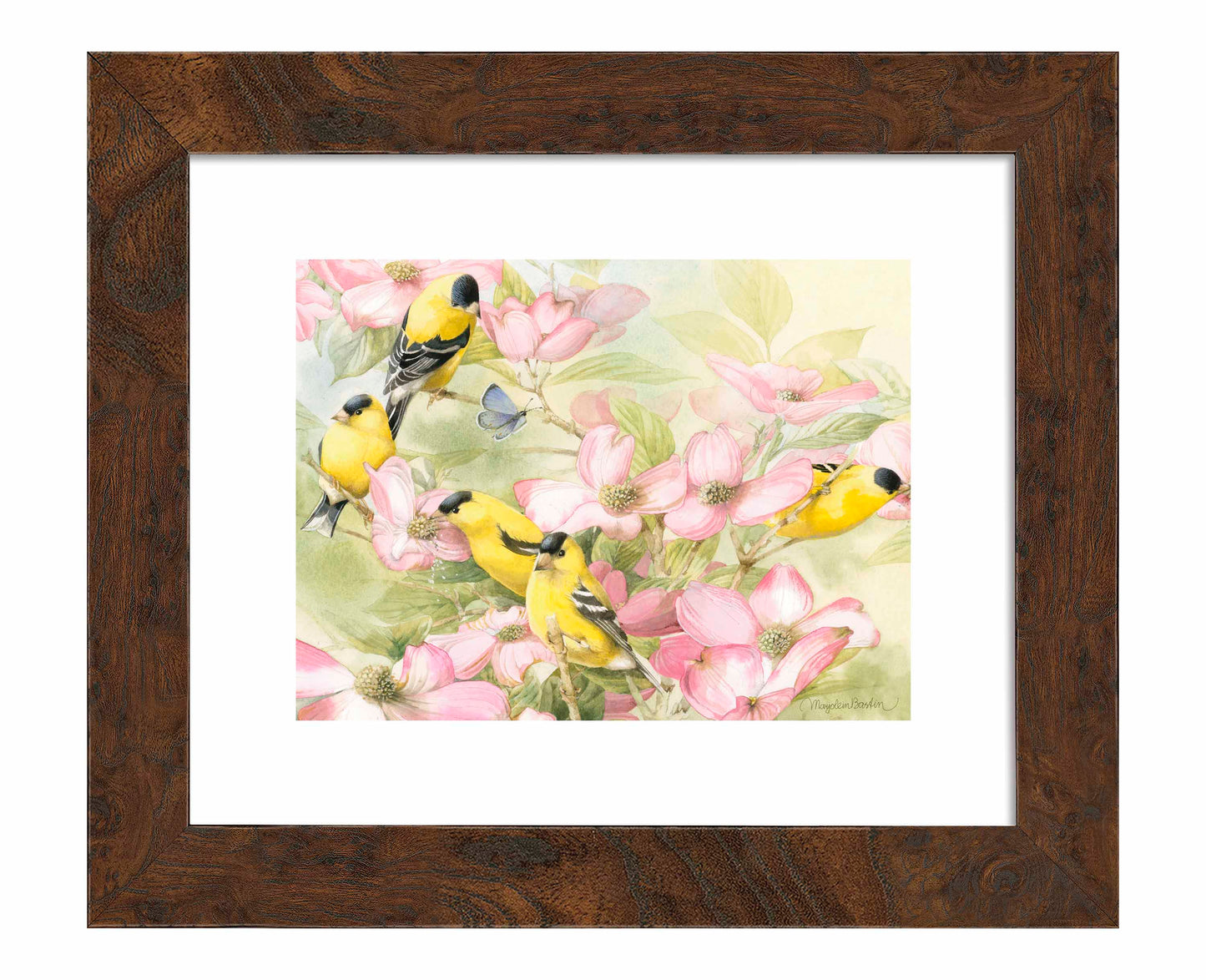Crowded Dogwood - Art Prints