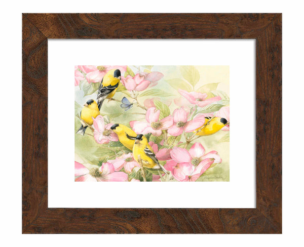 Crowded Dogwood - Art Prints