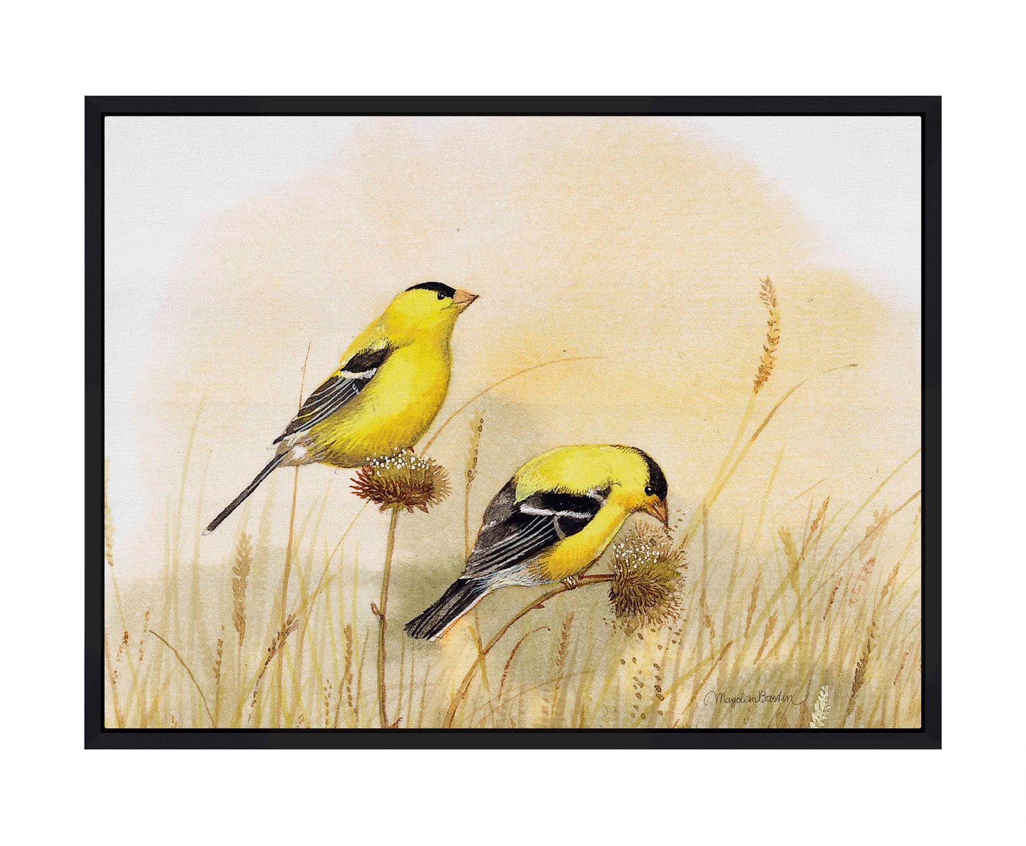 Feeding Off The Prairie - Gallery Wrapped Canvas
