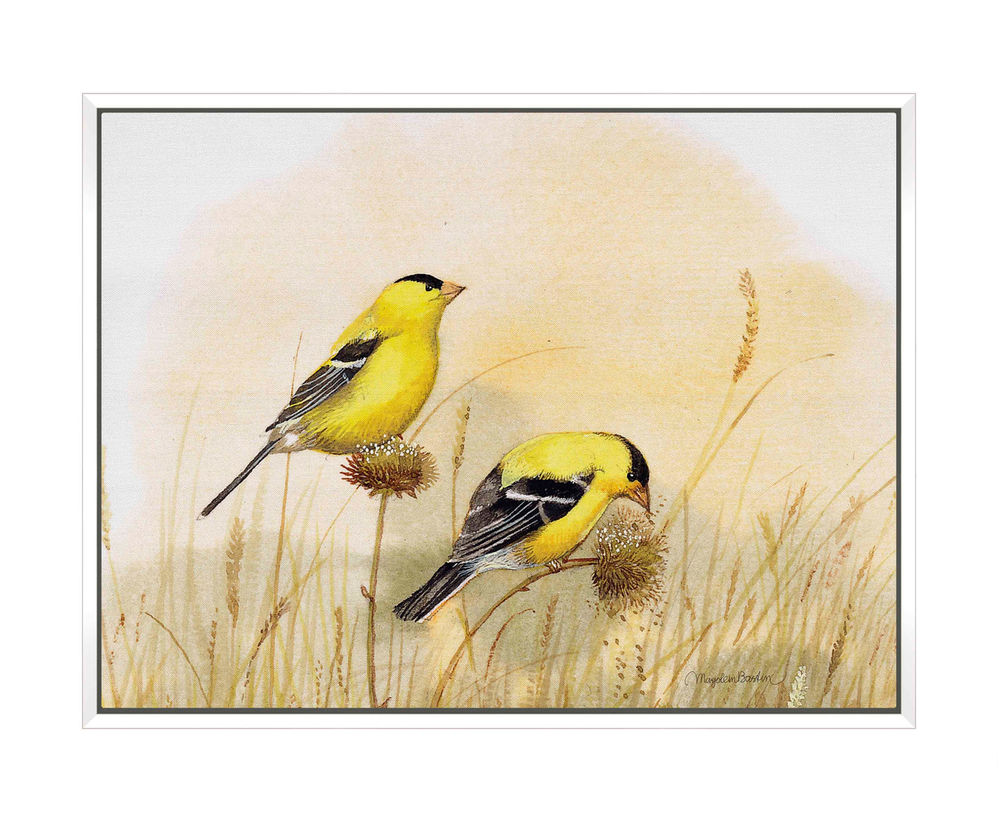 Feeding Off The Prairie - Gallery Wrapped Canvas