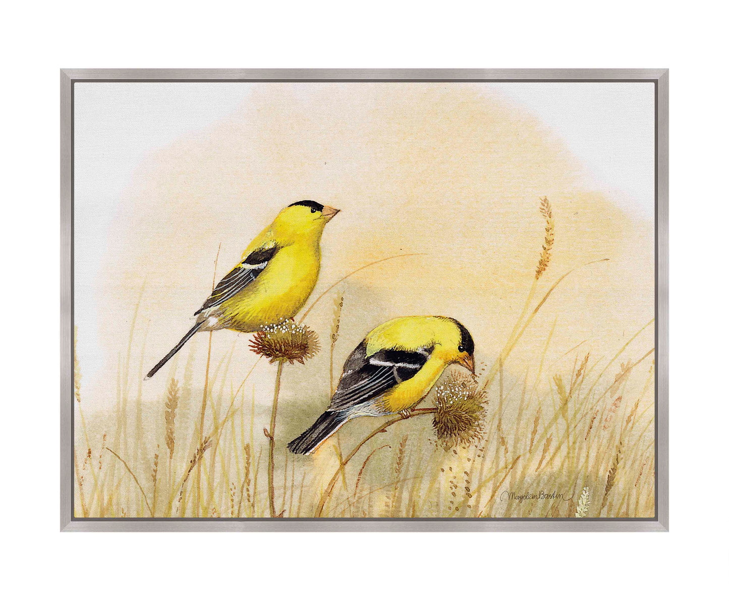 Feeding Off The Prairie - Gallery Wrapped Canvas