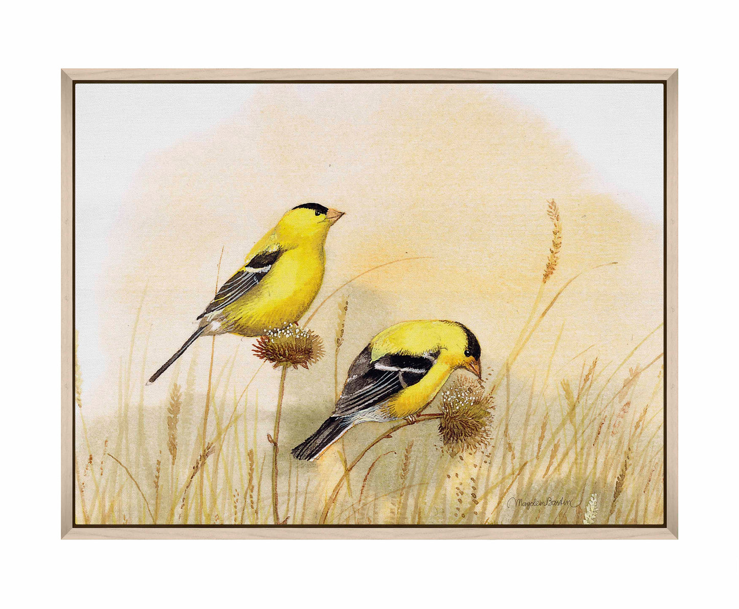 Feeding Off The Prairie - Gallery Wrapped Canvas
