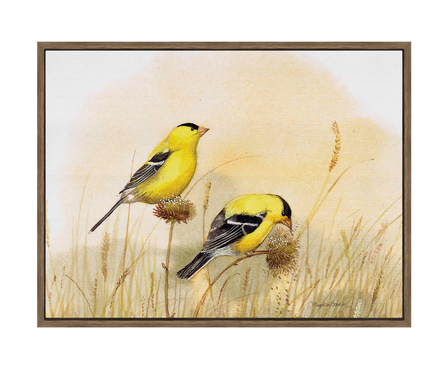 Feeding Off The Prairie - Gallery Wrapped Canvas