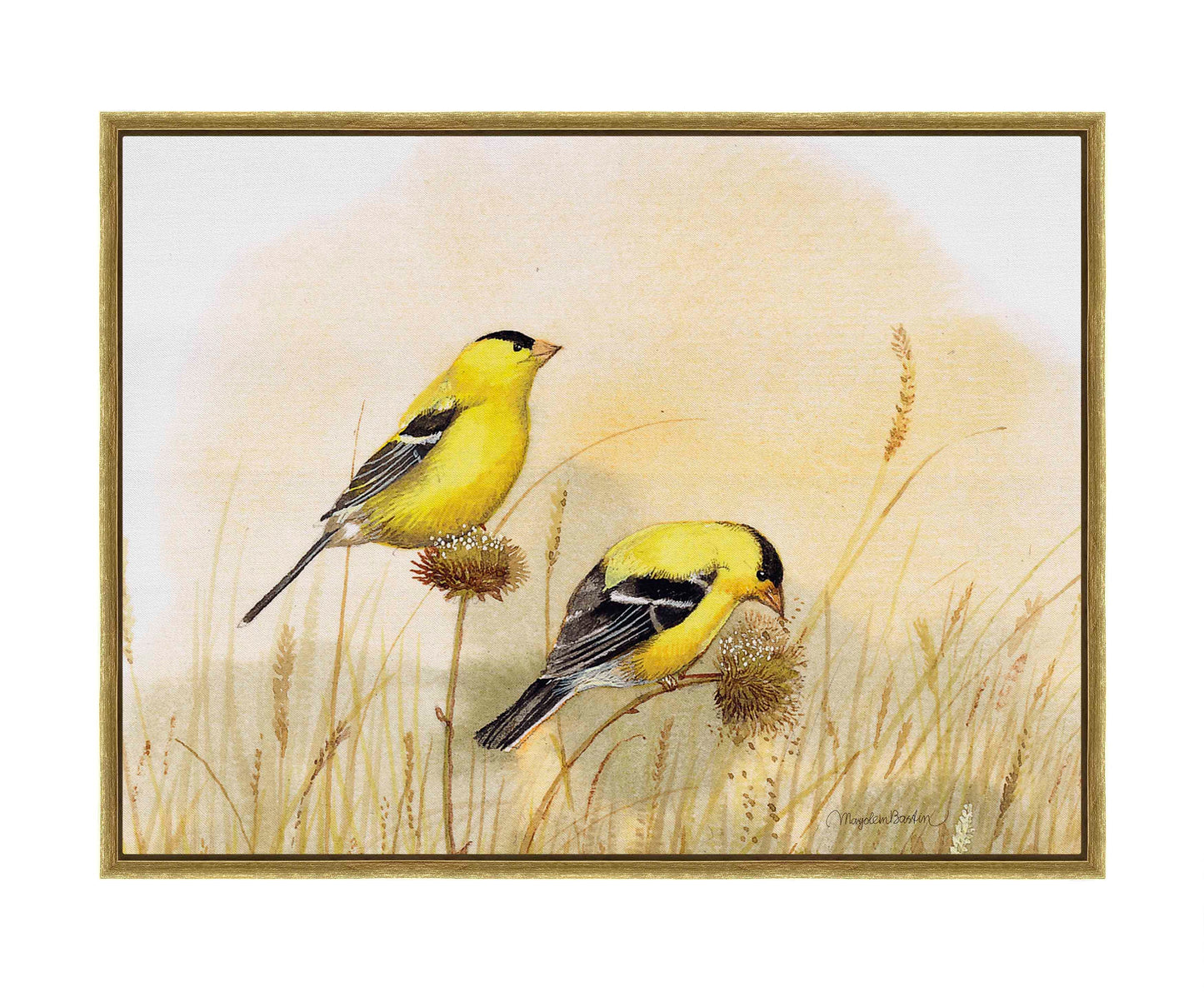 Feeding Off The Prairie - Gallery Wrapped Canvas