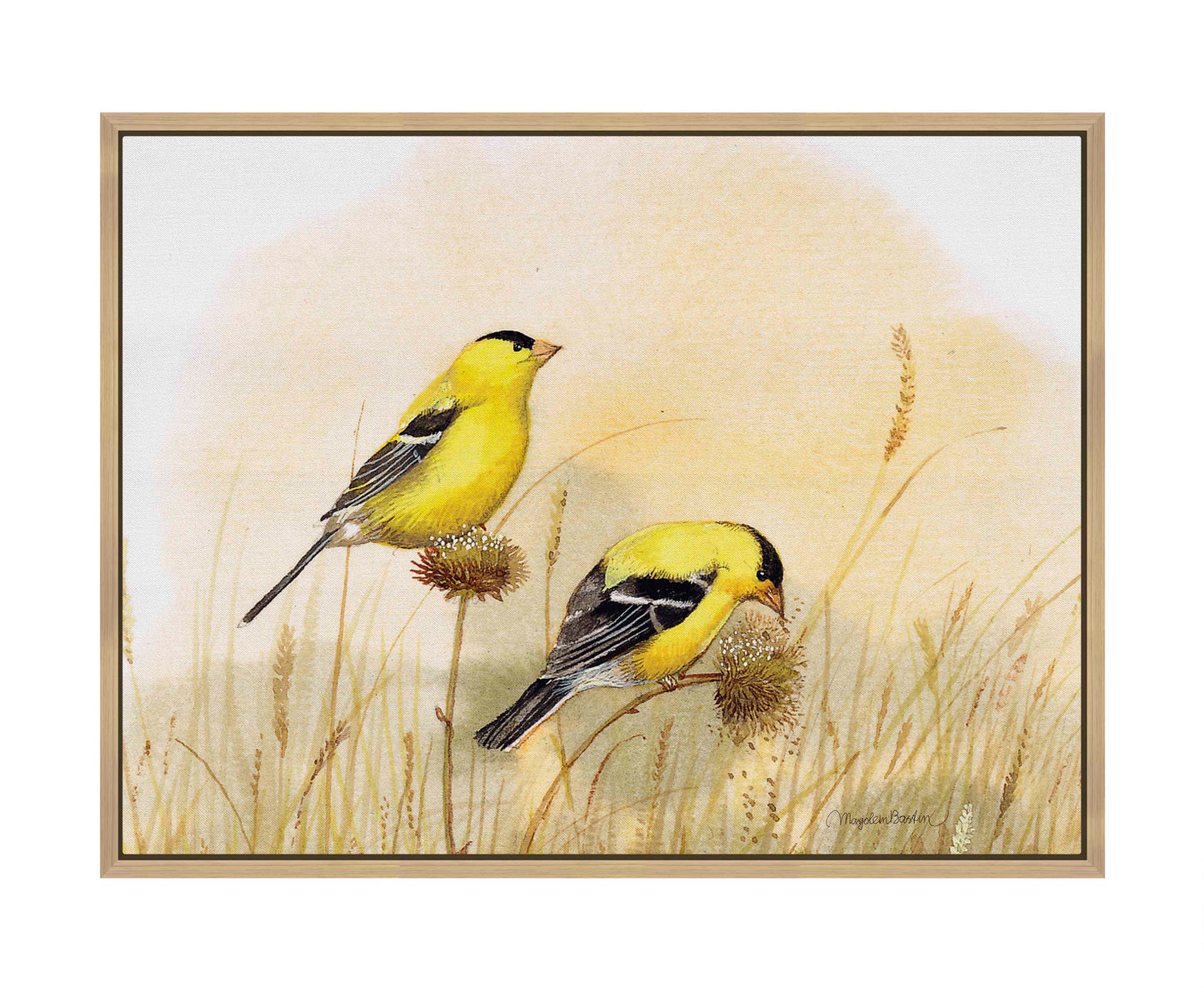 Feeding Off The Prairie - Gallery Wrapped Canvas