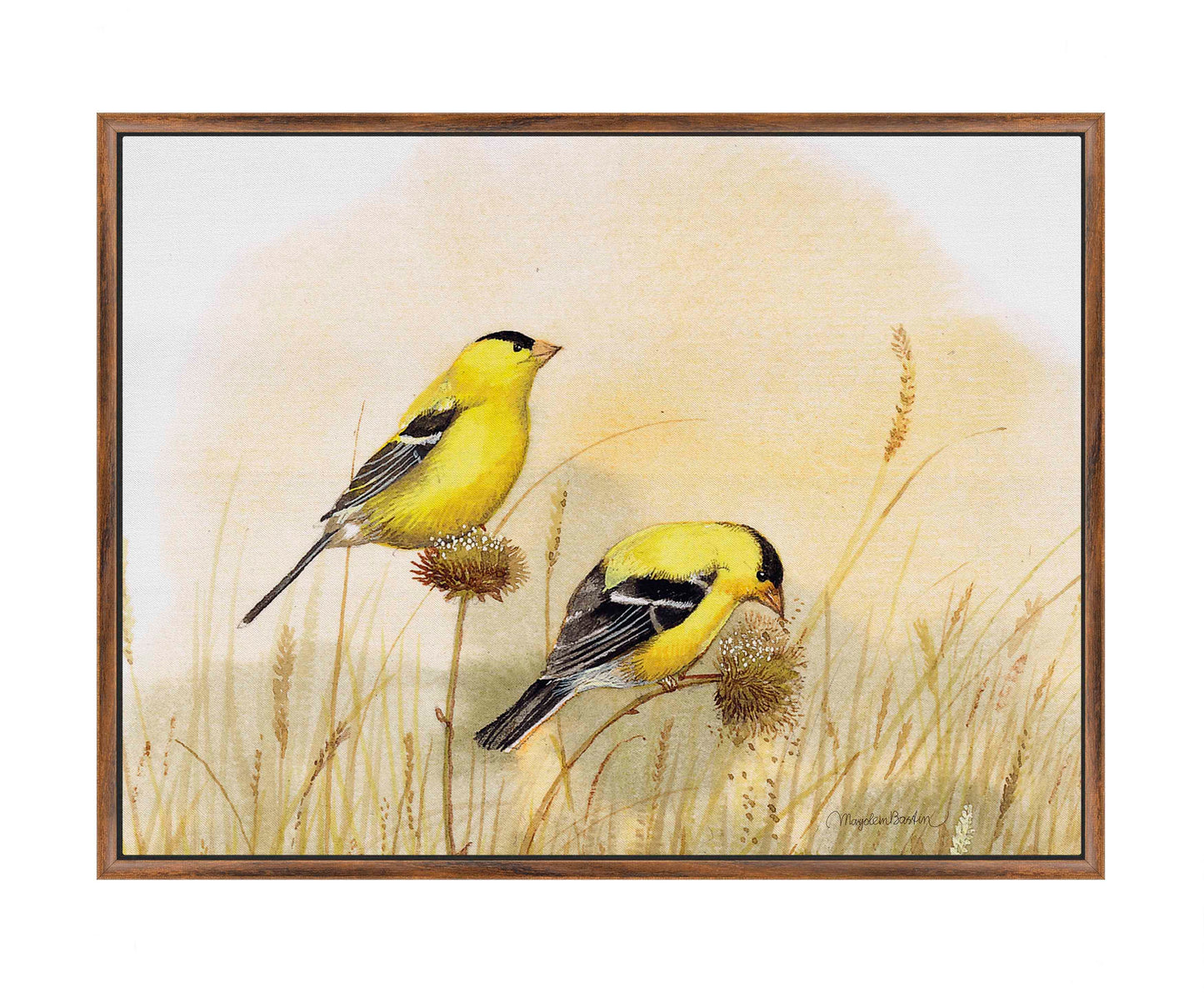 Feeding Off The Prairie - Gallery Wrapped Canvas