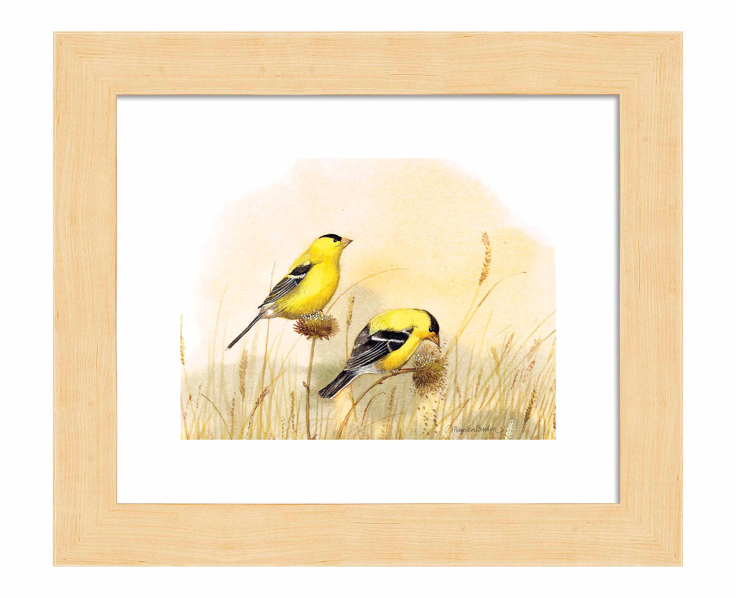Feeding Off The Prairie - Art Prints