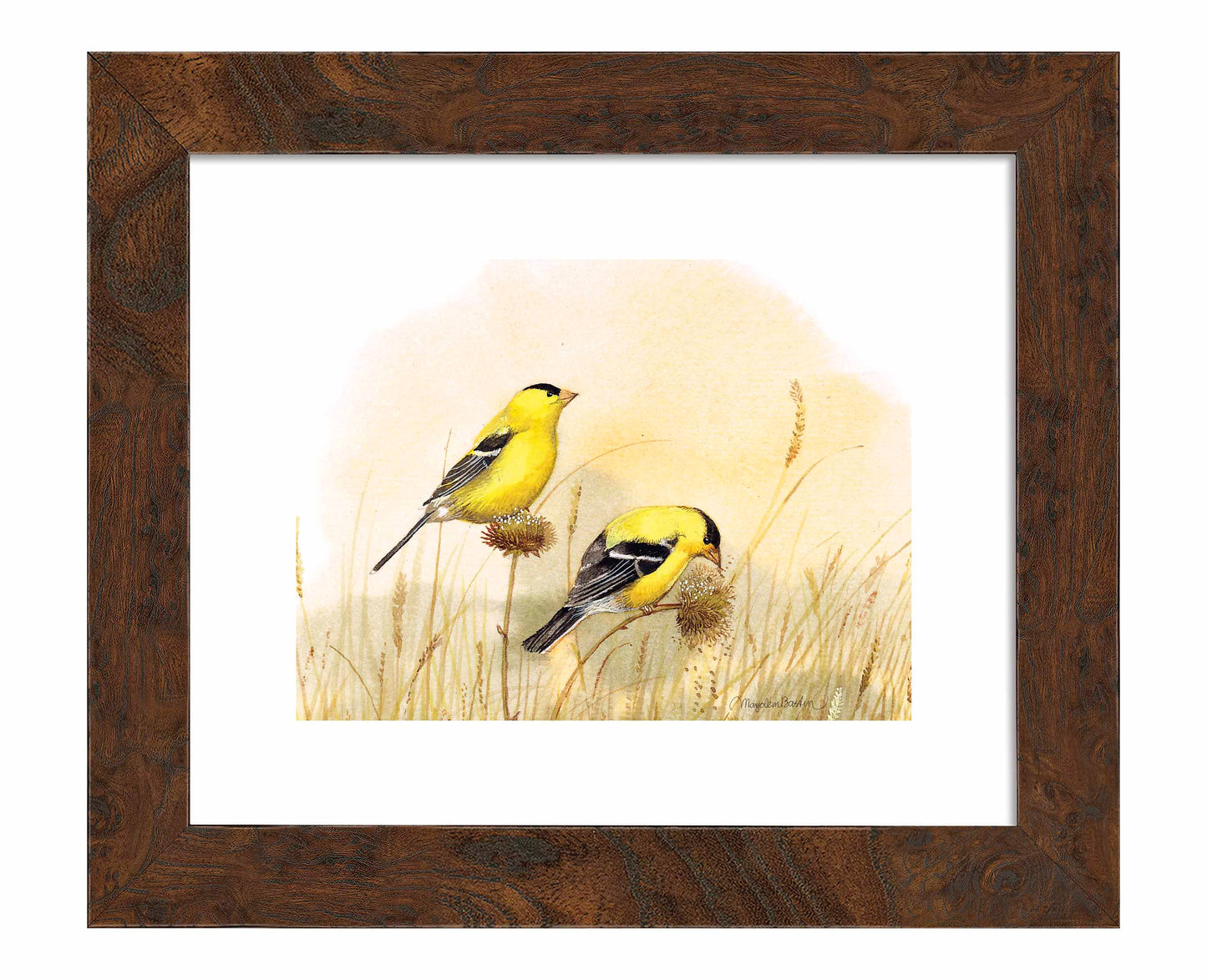 Feeding Off The Prairie - Art Prints