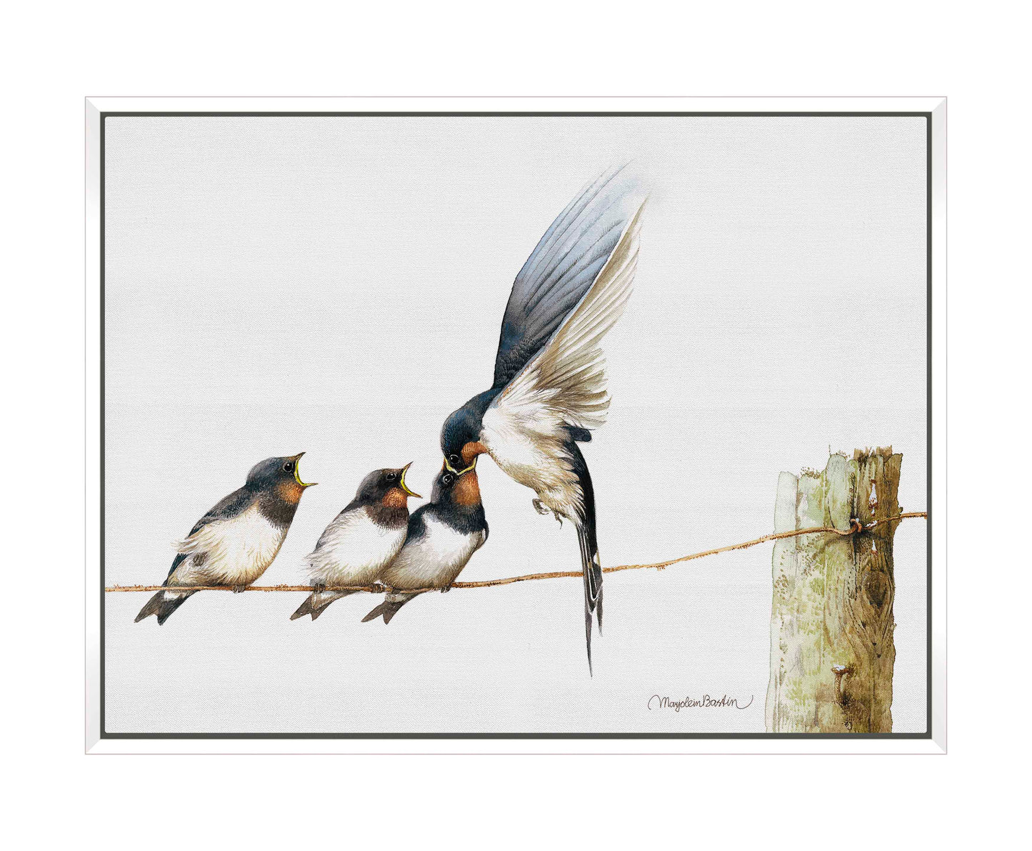 Lining Up - Gallery Wrapped Canvas