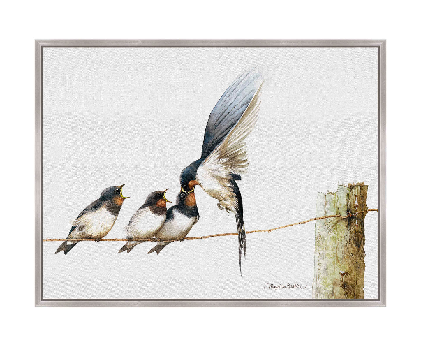 Lining Up - Gallery Wrapped Canvas