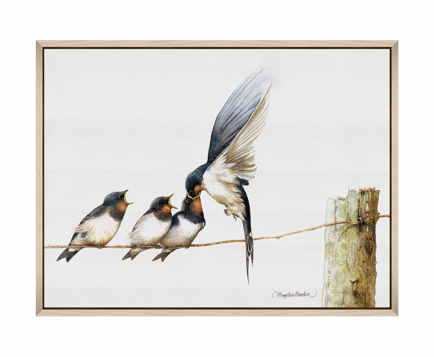 Lining Up - Gallery Wrapped Canvas