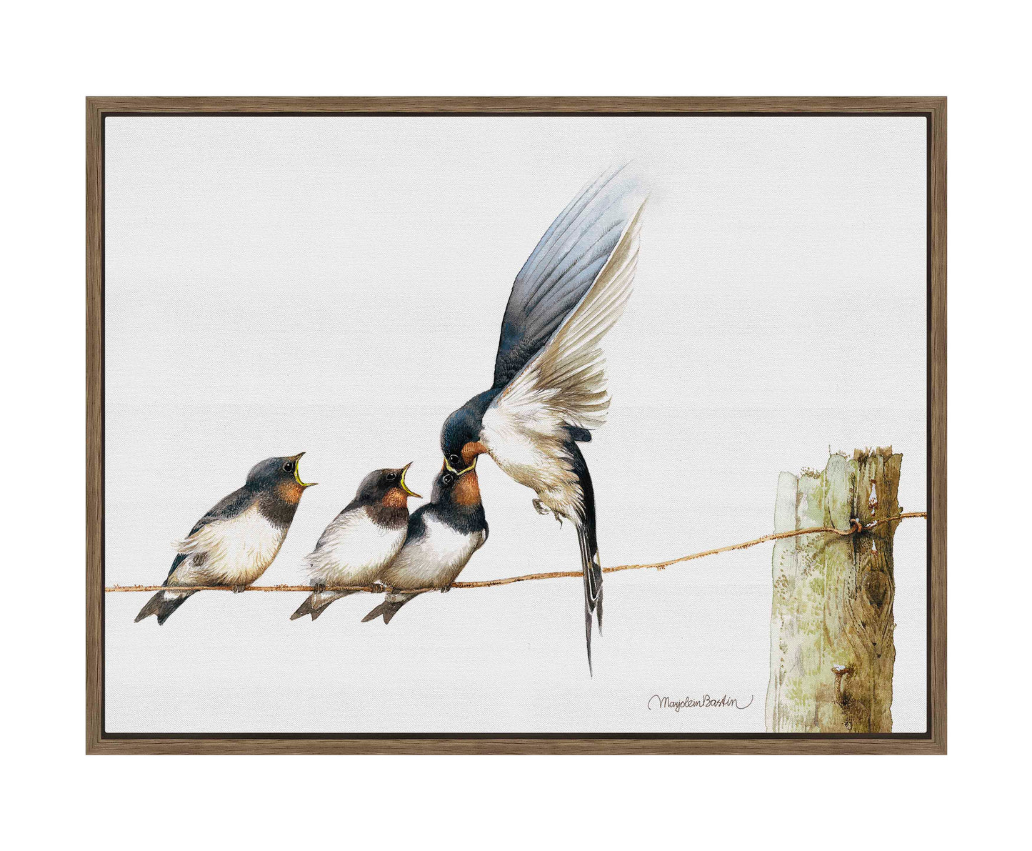 Lining Up - Gallery Wrapped Canvas