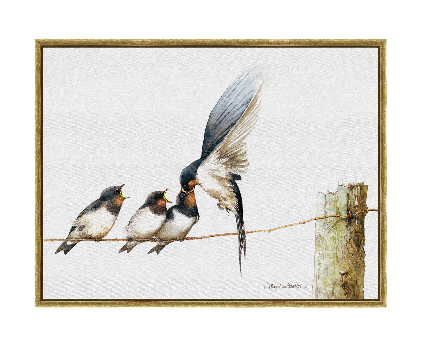 Lining Up - Gallery Wrapped Canvas