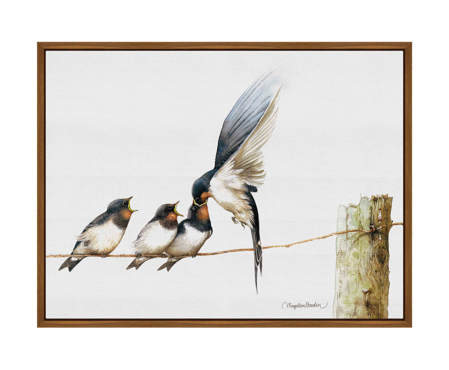 Lining Up - Gallery Wrapped Canvas