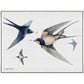 Hunting - Gallery Wrapped Canvas