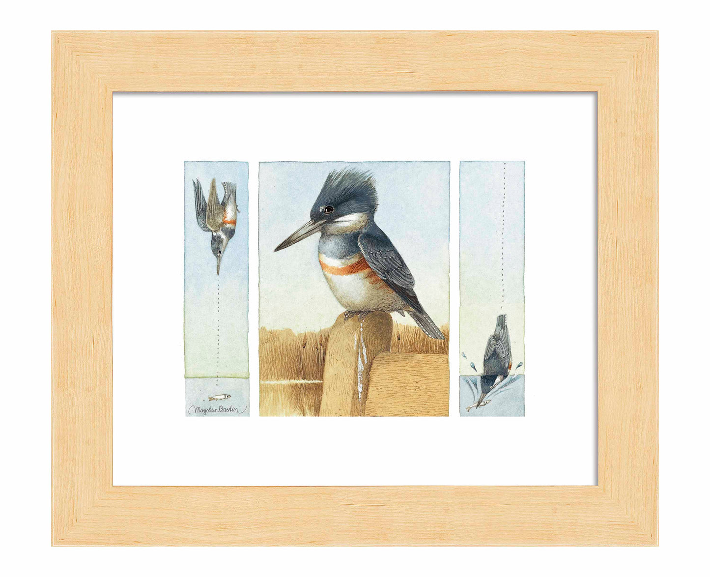 Resting Between Pursuit - Art Prints