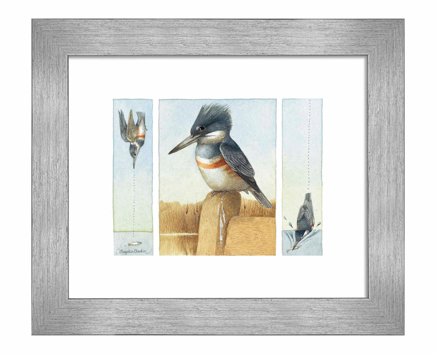 Resting Between Pursuit - Art Prints