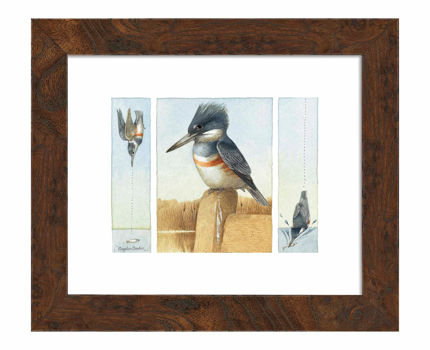 Resting Between Pursuit - Art Prints