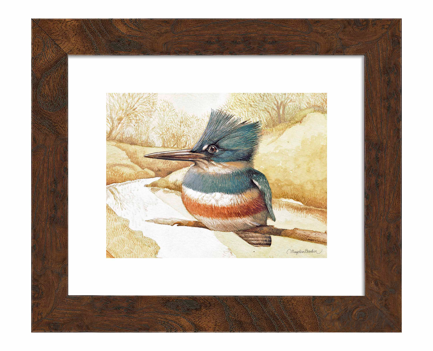 Kingfisher on Fishing River - Art Prints