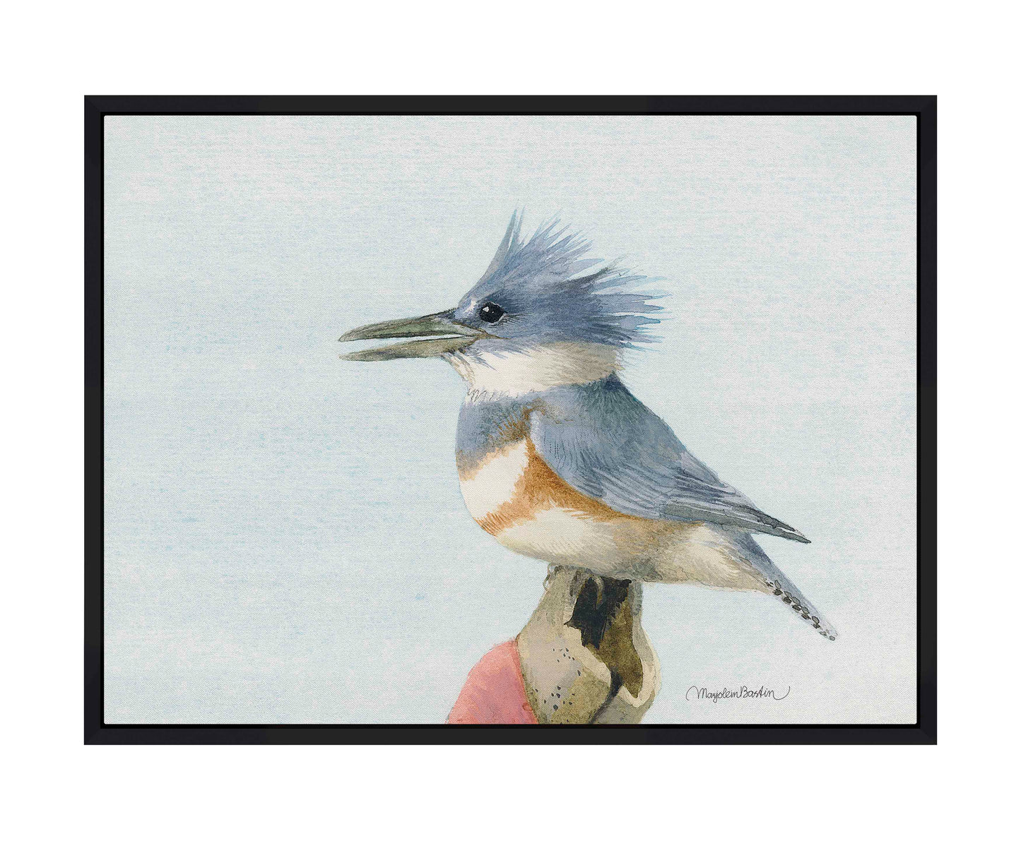 Belted Kingfisher - Gallery Wrapped Canvas