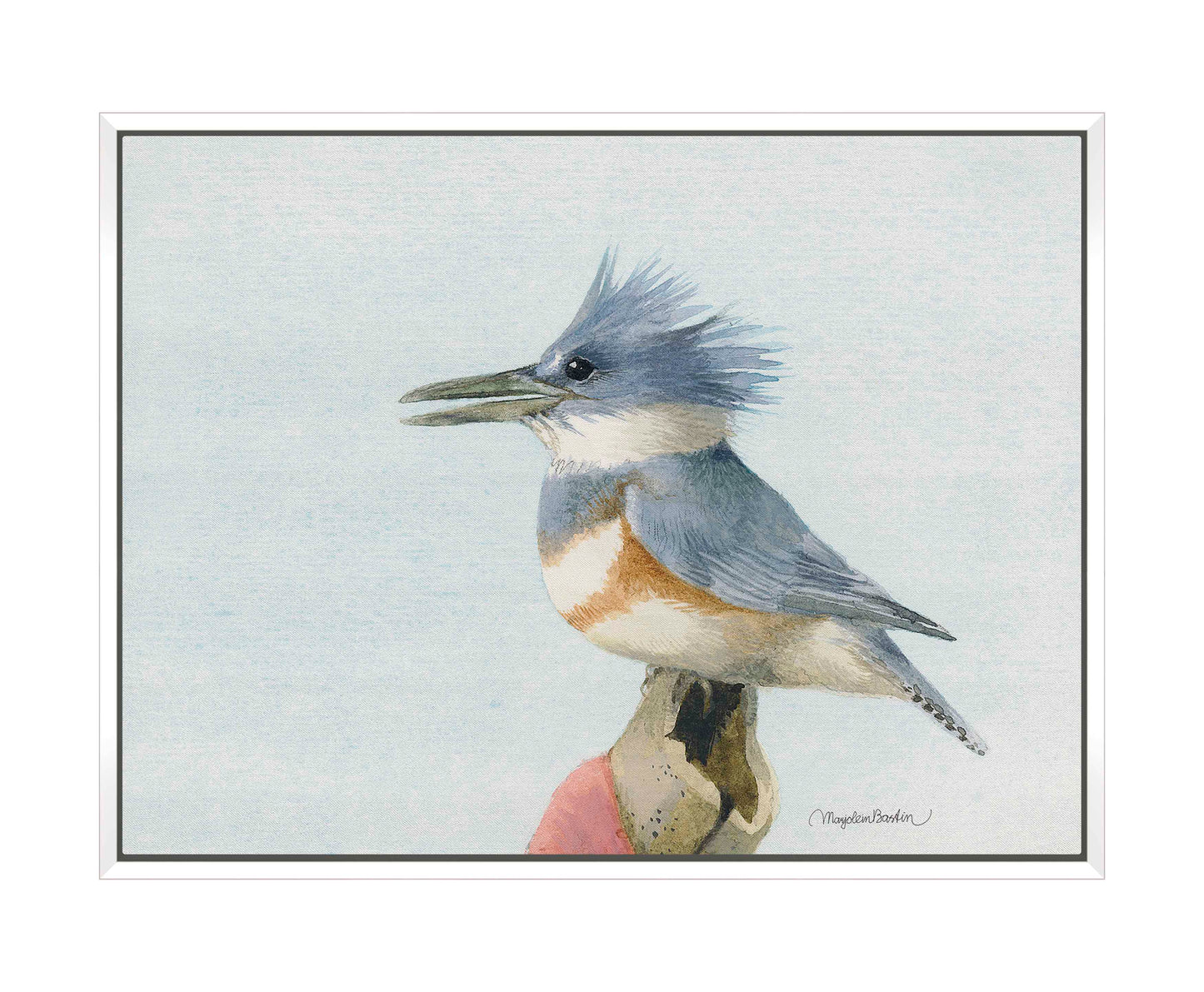 Belted Kingfisher - Gallery Wrapped Canvas