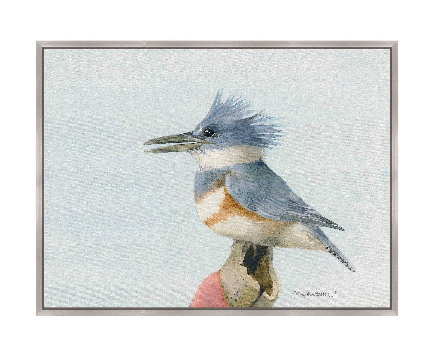 Belted Kingfisher - Gallery Wrapped Canvas