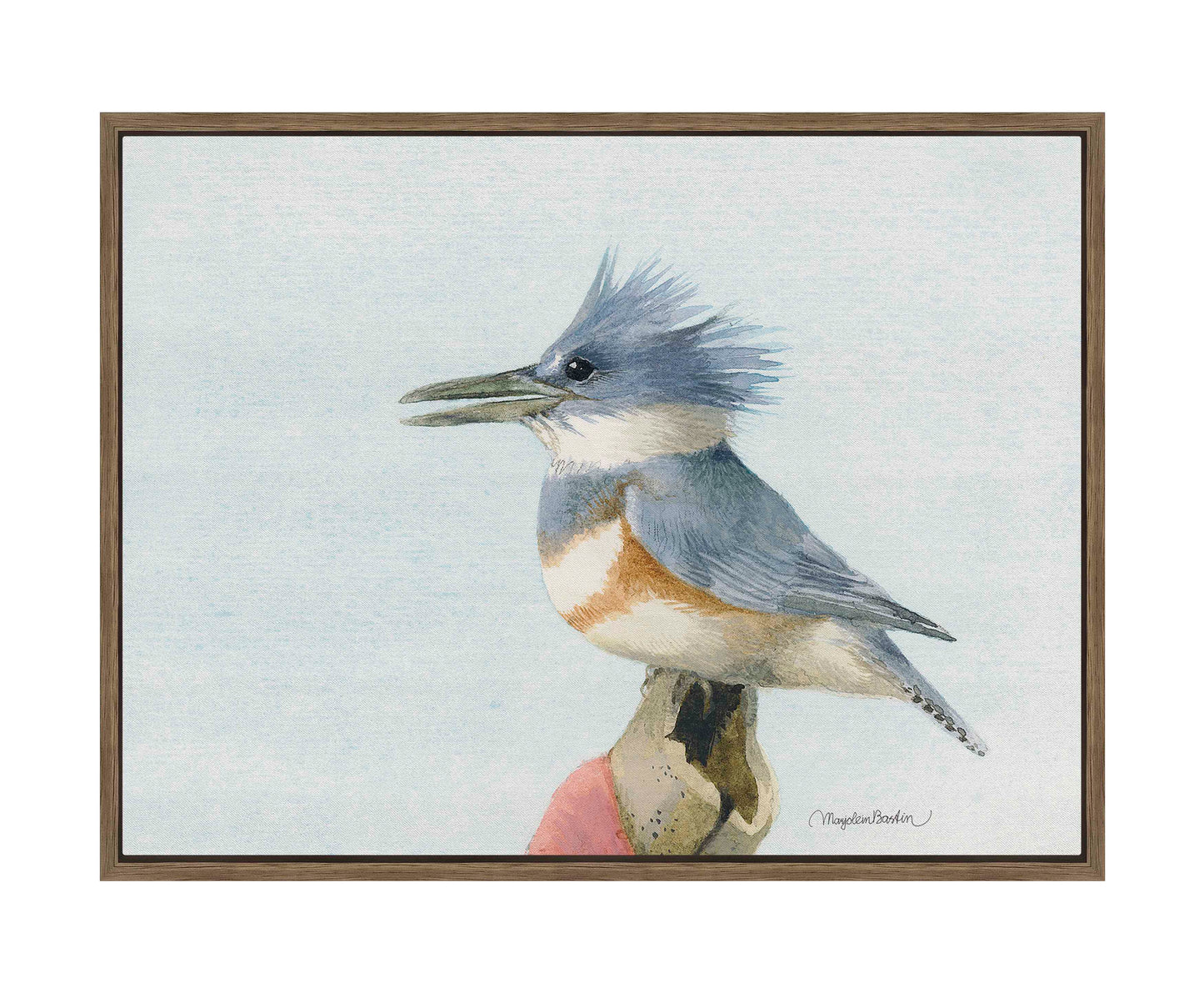 Belted Kingfisher - Gallery Wrapped Canvas