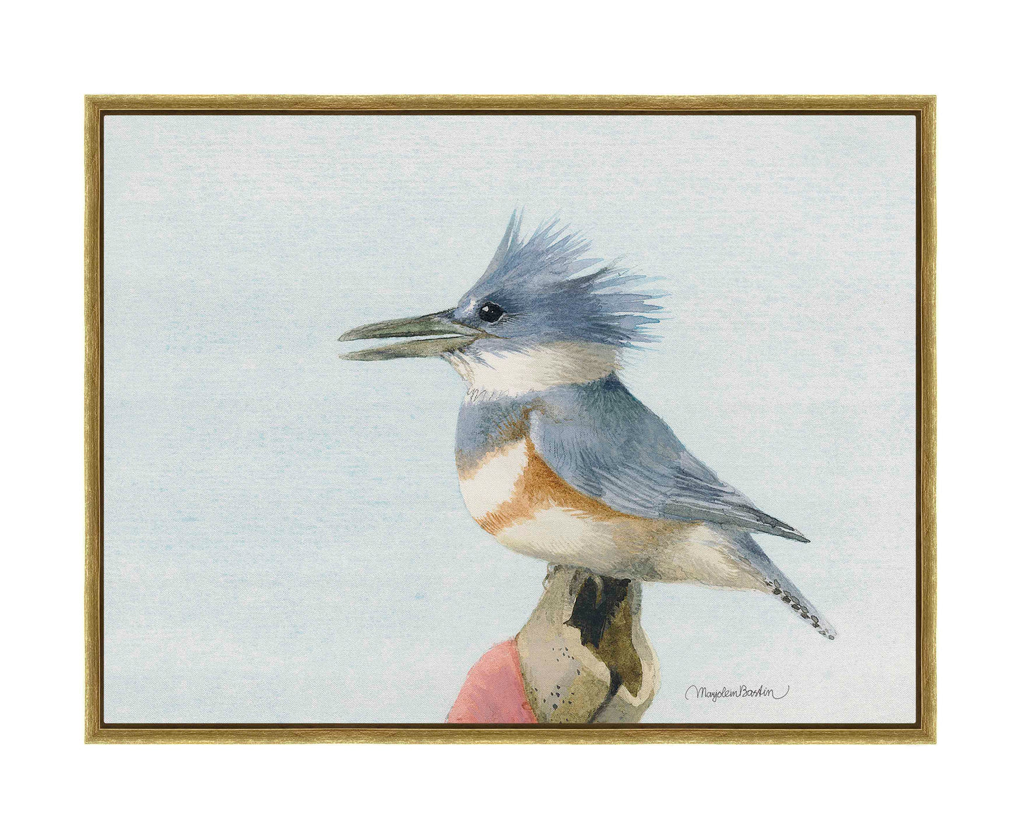 Belted Kingfisher - Gallery Wrapped Canvas