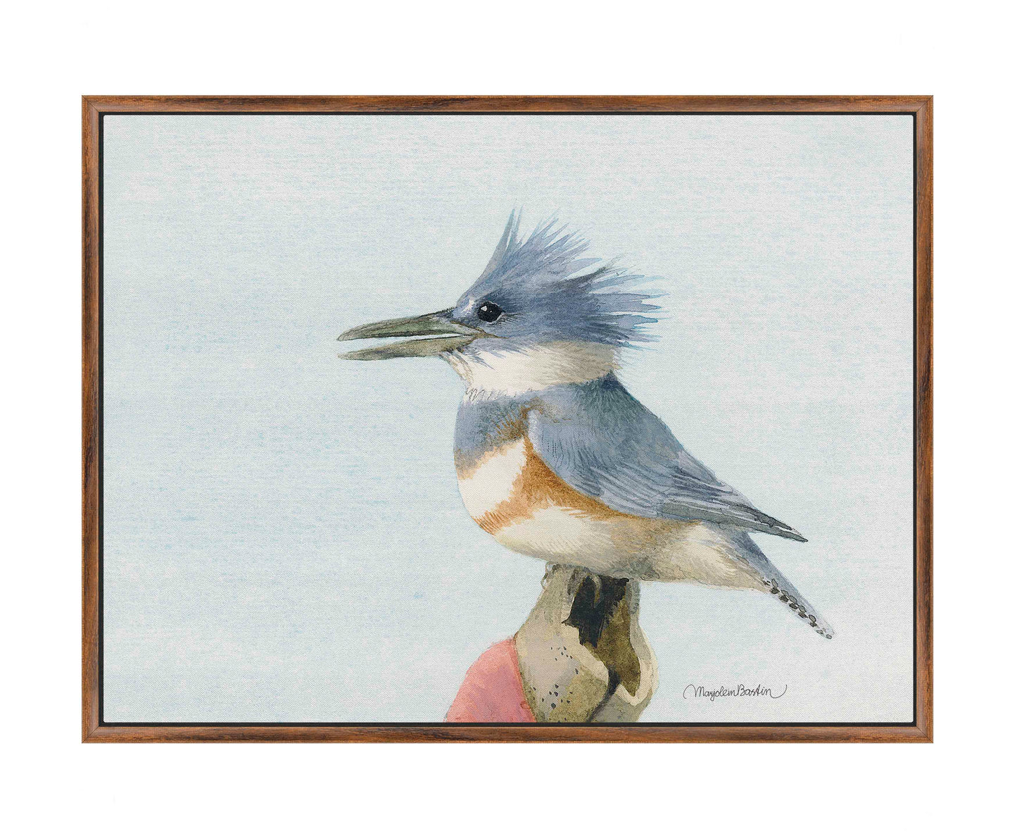 Belted Kingfisher - Gallery Wrapped Canvas