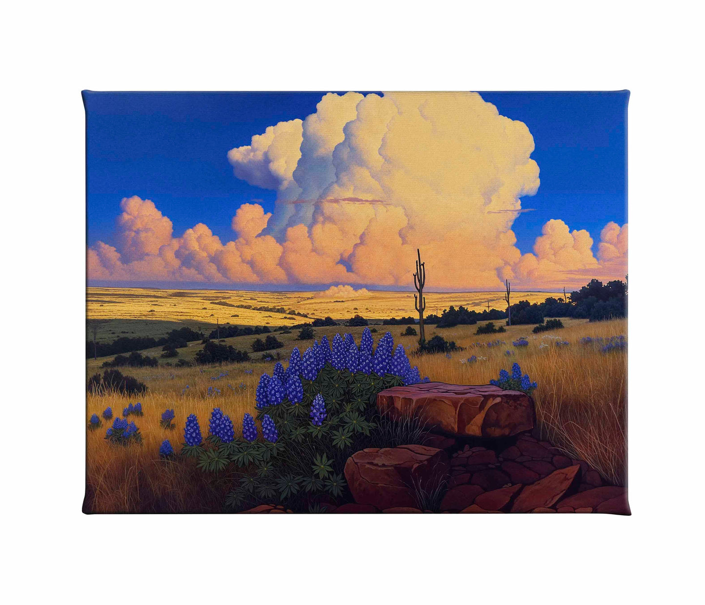 The Big Fields of Texas I - Gallery Wrapped Canvas