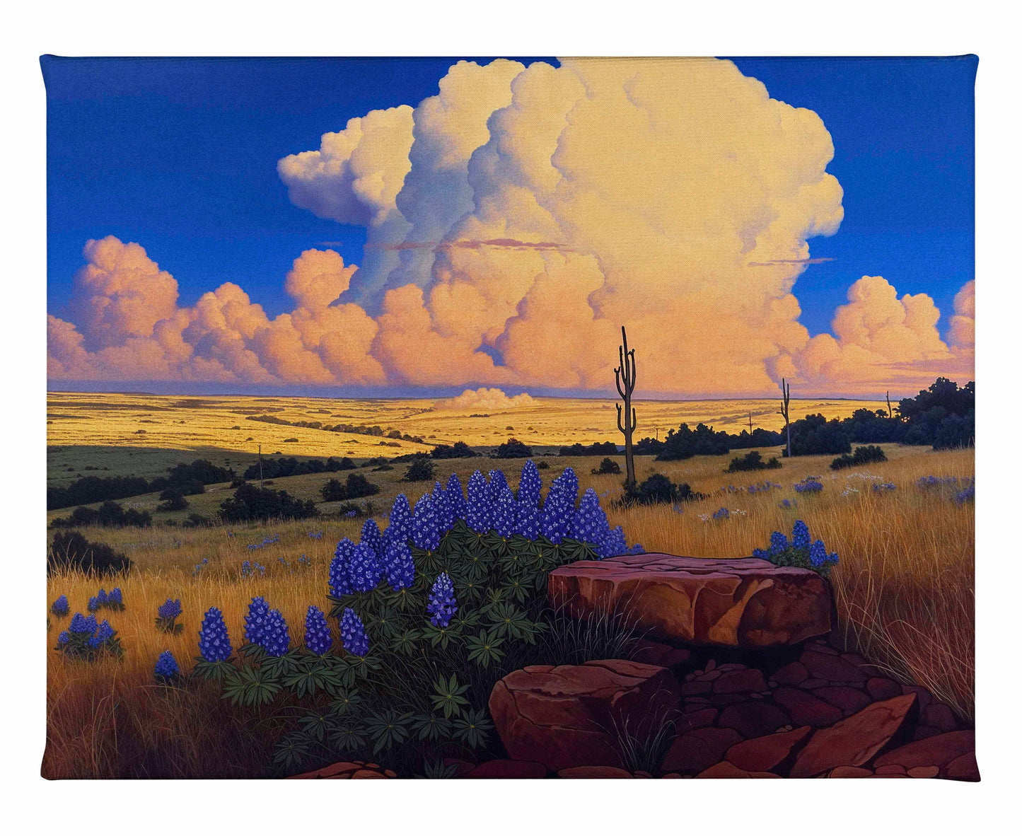 The Big Fields of Texas I - Gallery Wrapped Canvas