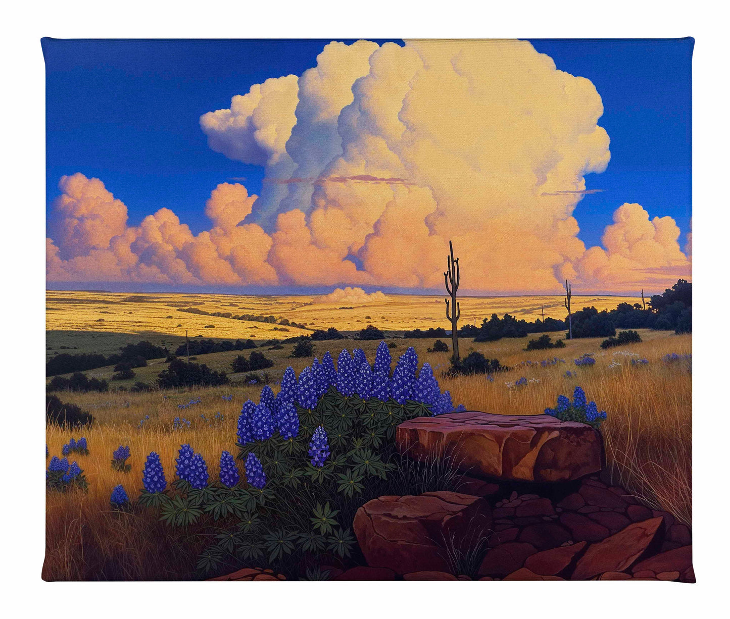 The Big Fields of Texas I - Gallery Wrapped Canvas