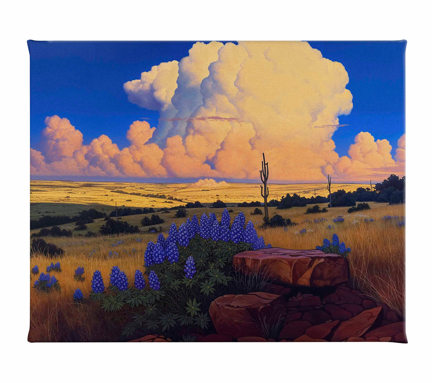 The Big Fields of Texas I - Gallery Wrapped Canvas