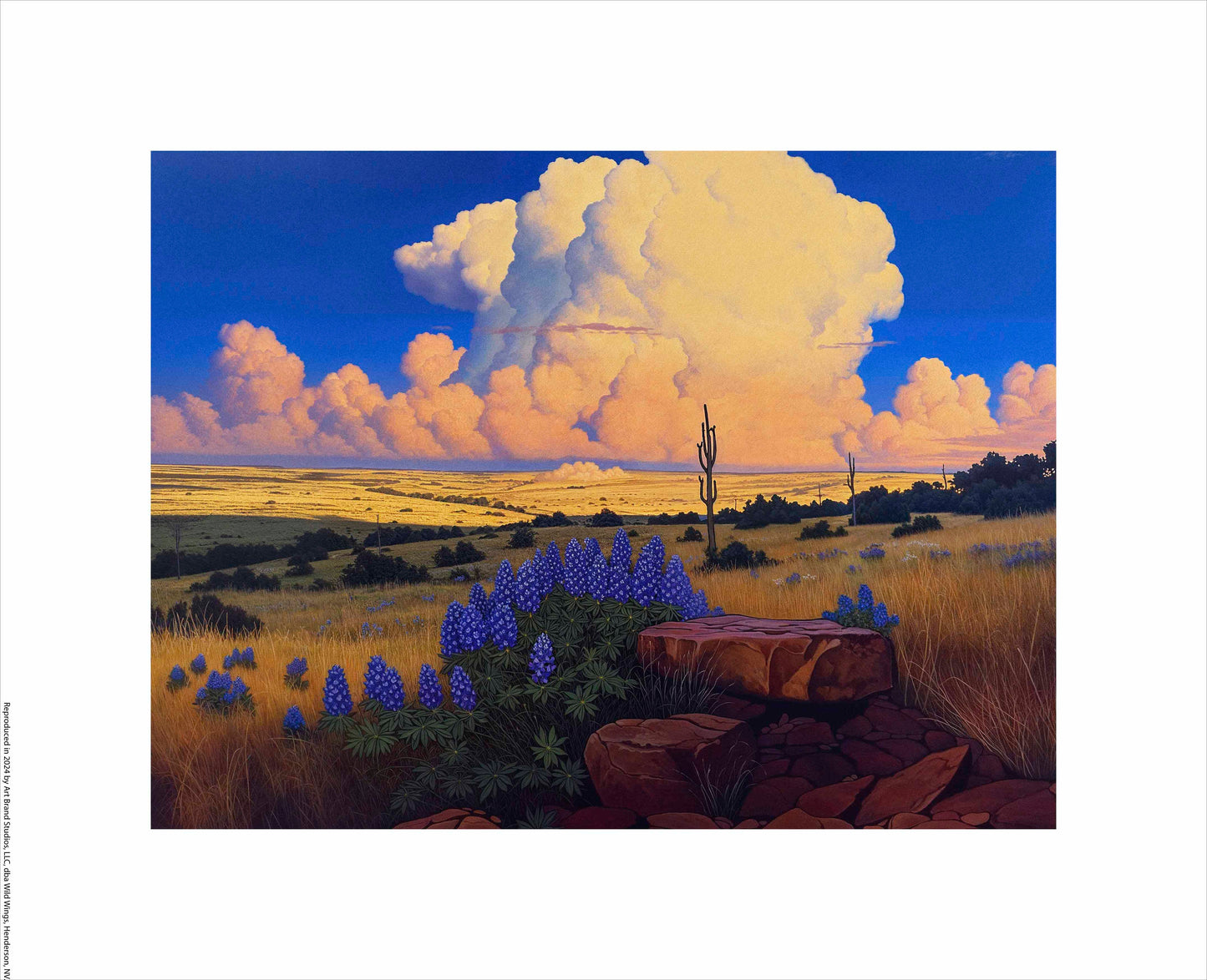 The Big Fields of Texas I - Art Prints