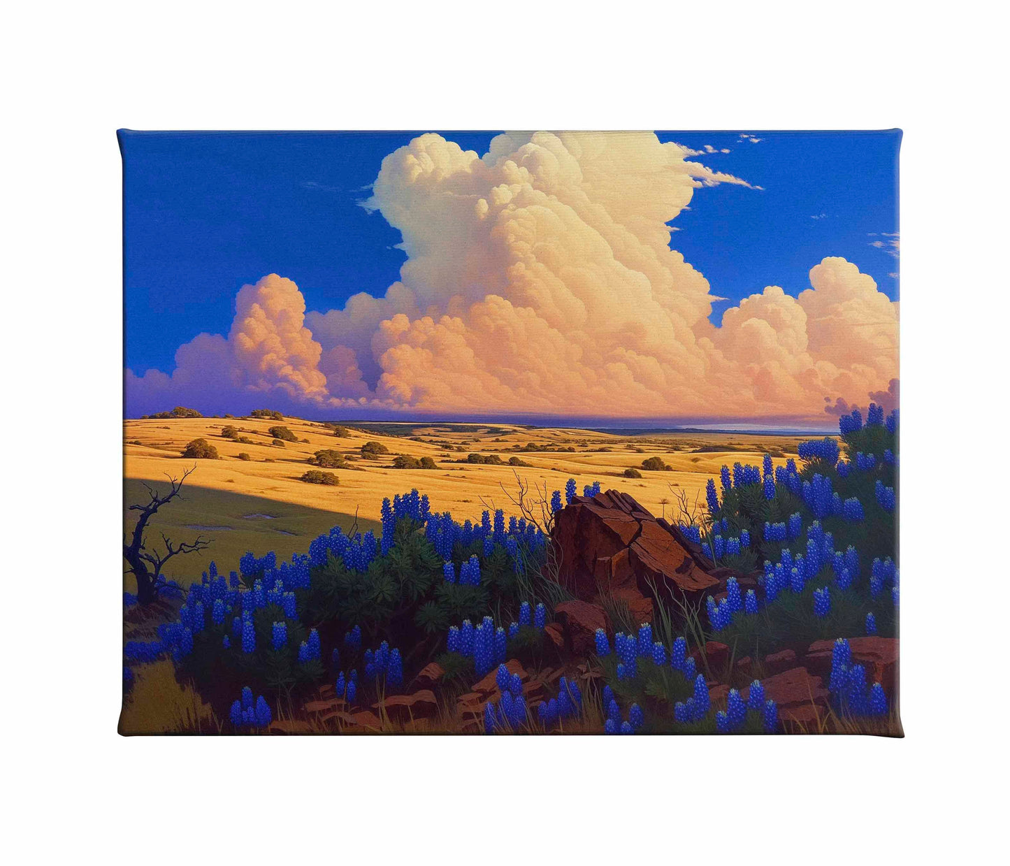 The Big Fields of Texas II - Gallery Wrapped Canvas