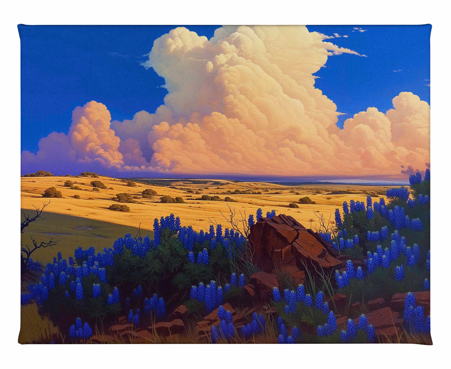 The Big Fields of Texas II - Gallery Wrapped Canvas