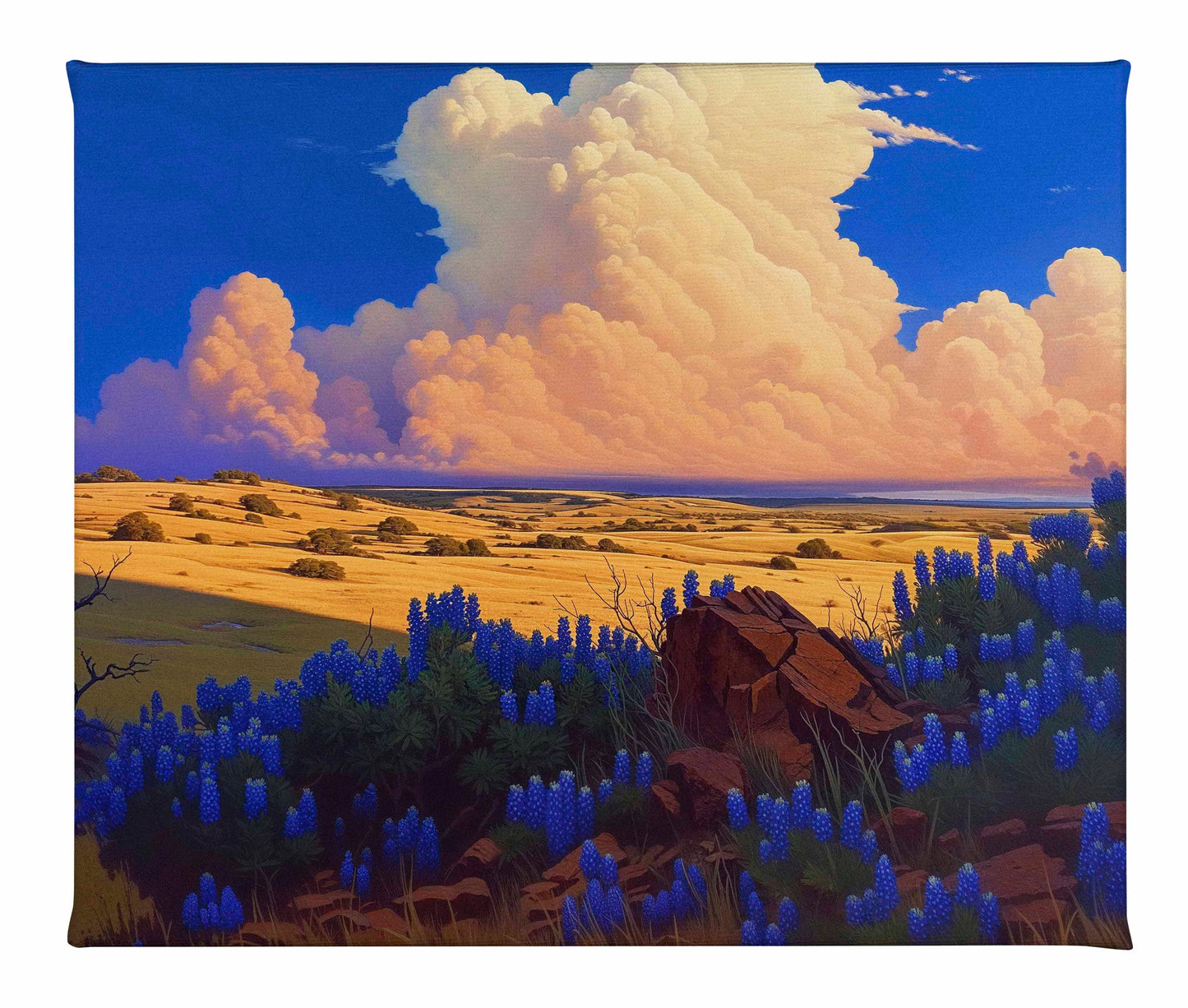 The Big Fields of Texas II - Gallery Wrapped Canvas