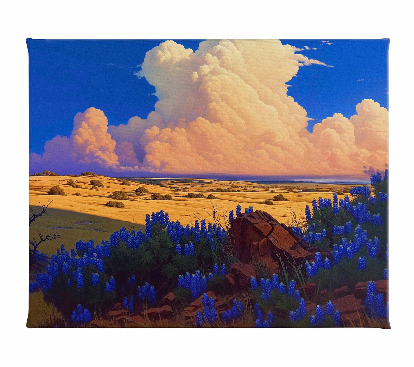The Big Fields of Texas II - Gallery Wrapped Canvas