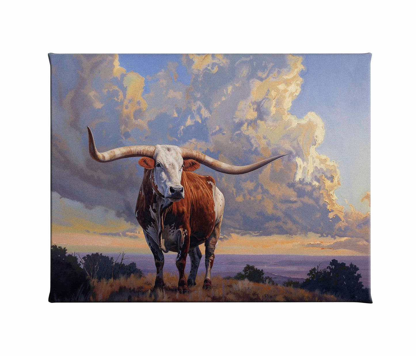 Hill Country Monarch I - Gallery Wrapped Canvas