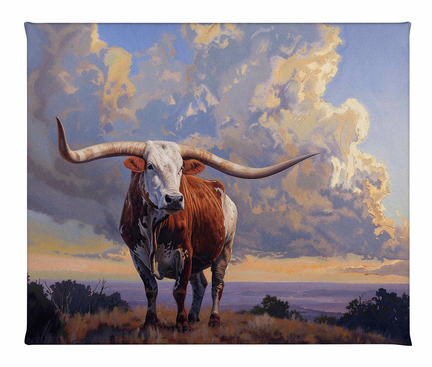 Hill Country Monarch I - Gallery Wrapped Canvas