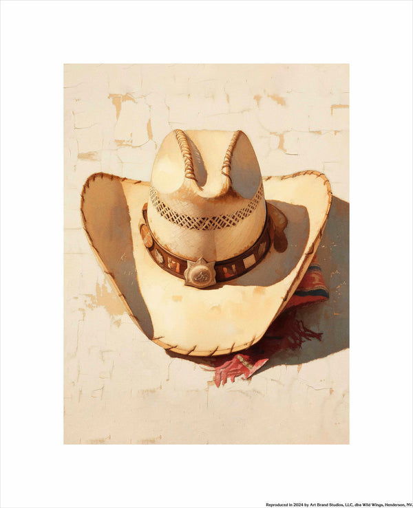 Summer Texas Hats II - Art Prints