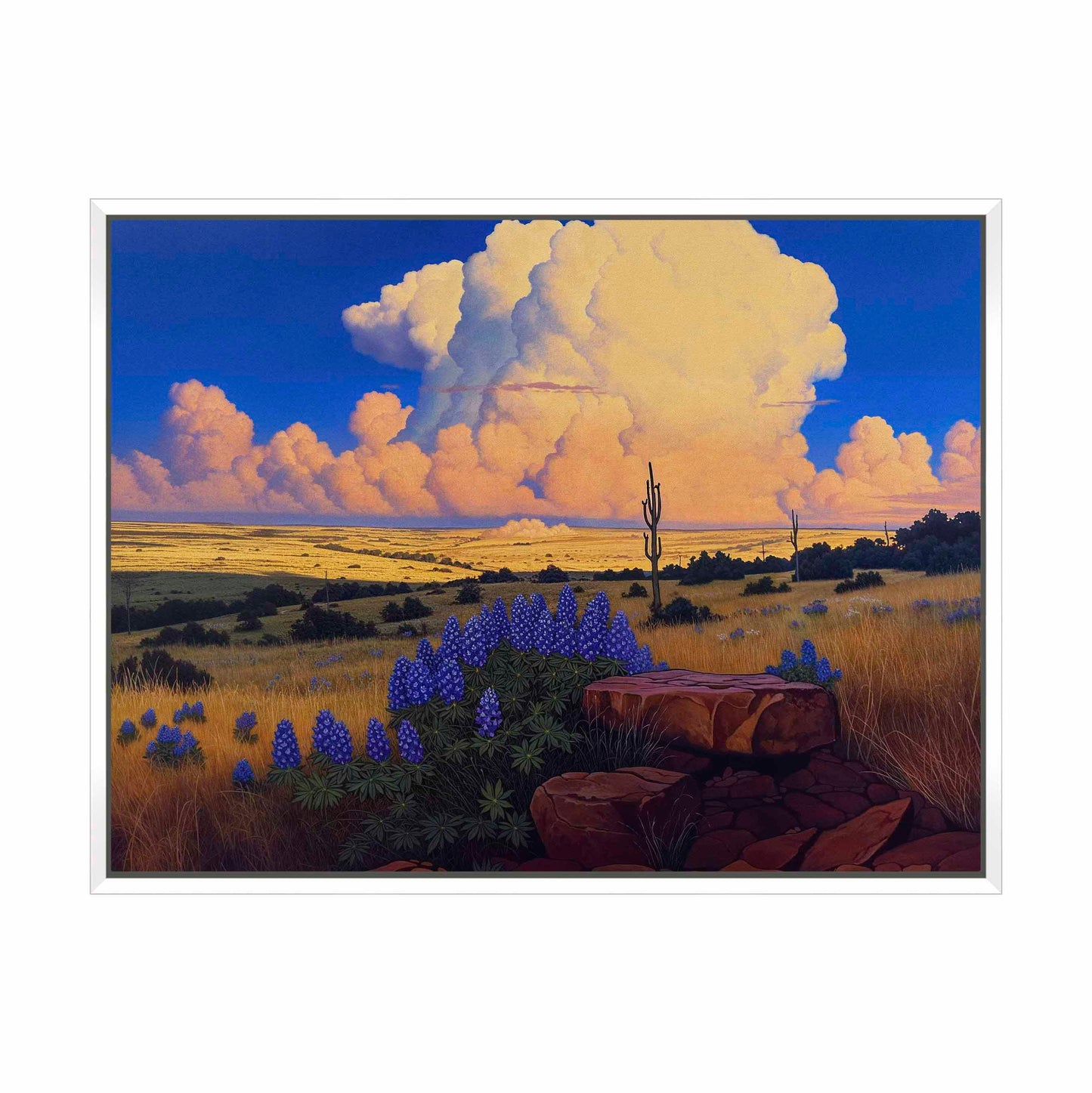 The Big Fields of Texas I - Gallery Wrapped Canvas