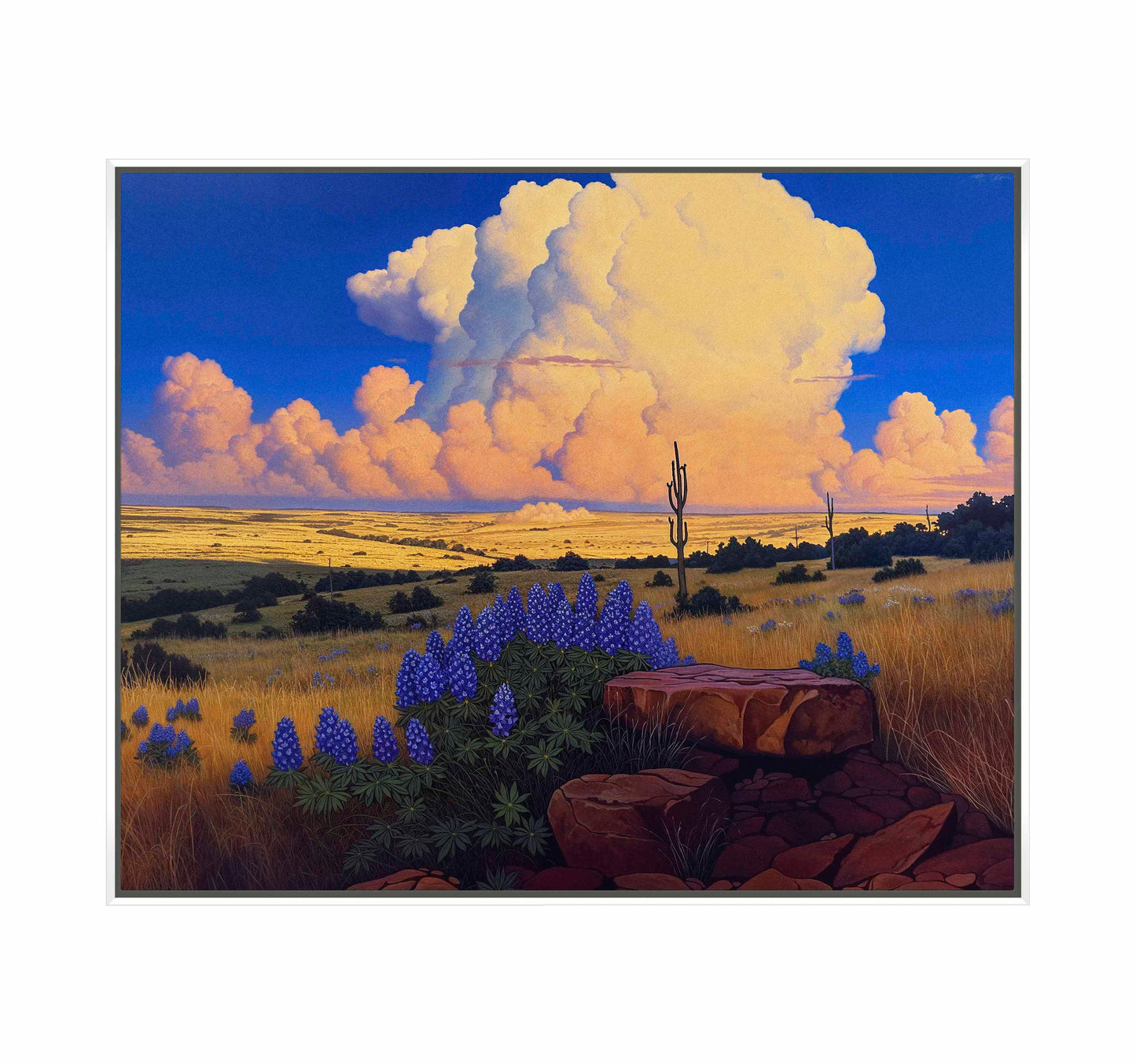 The Big Fields of Texas I - Gallery Wrapped Canvas