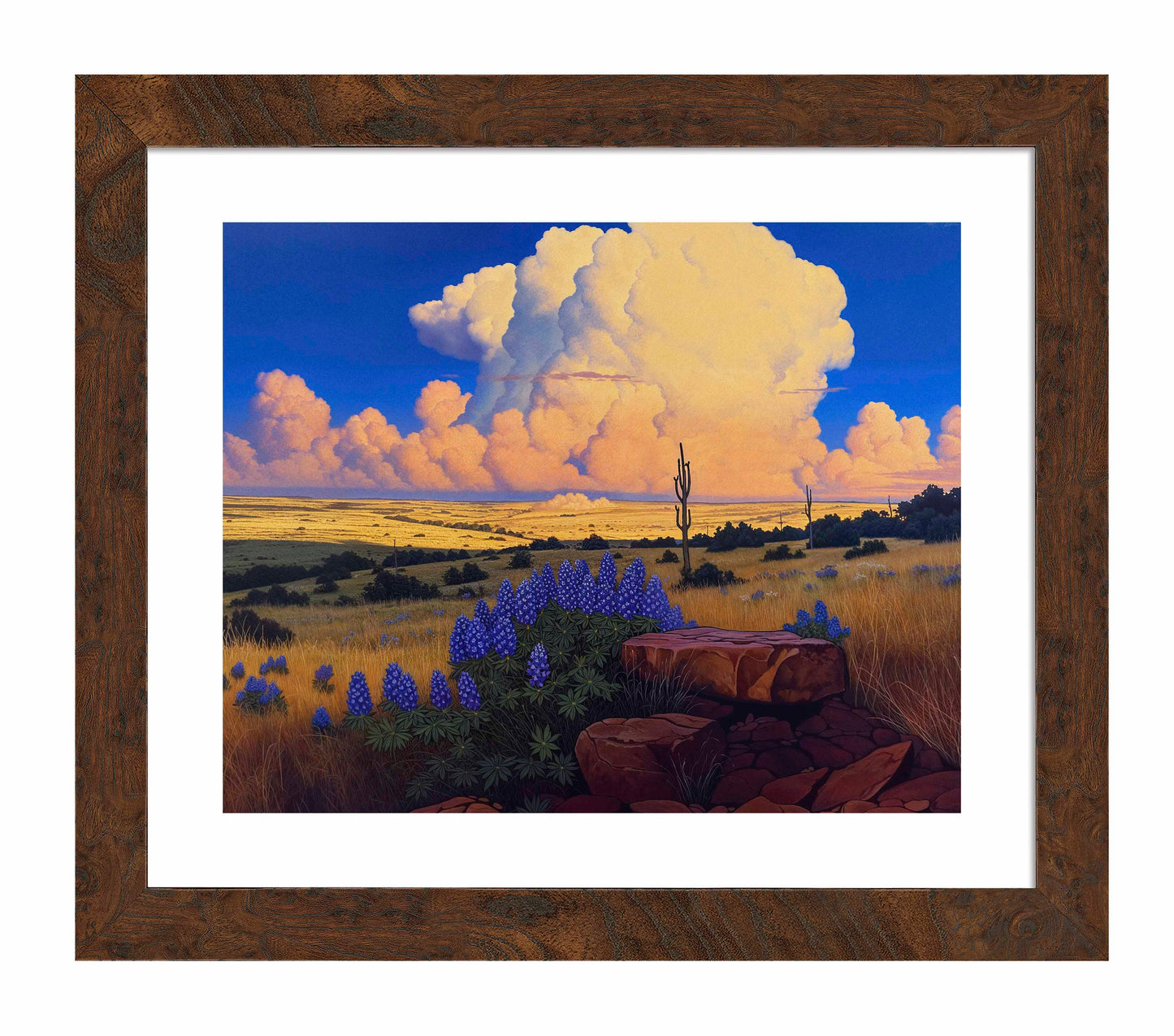 The Big Fields of Texas I - Art Prints