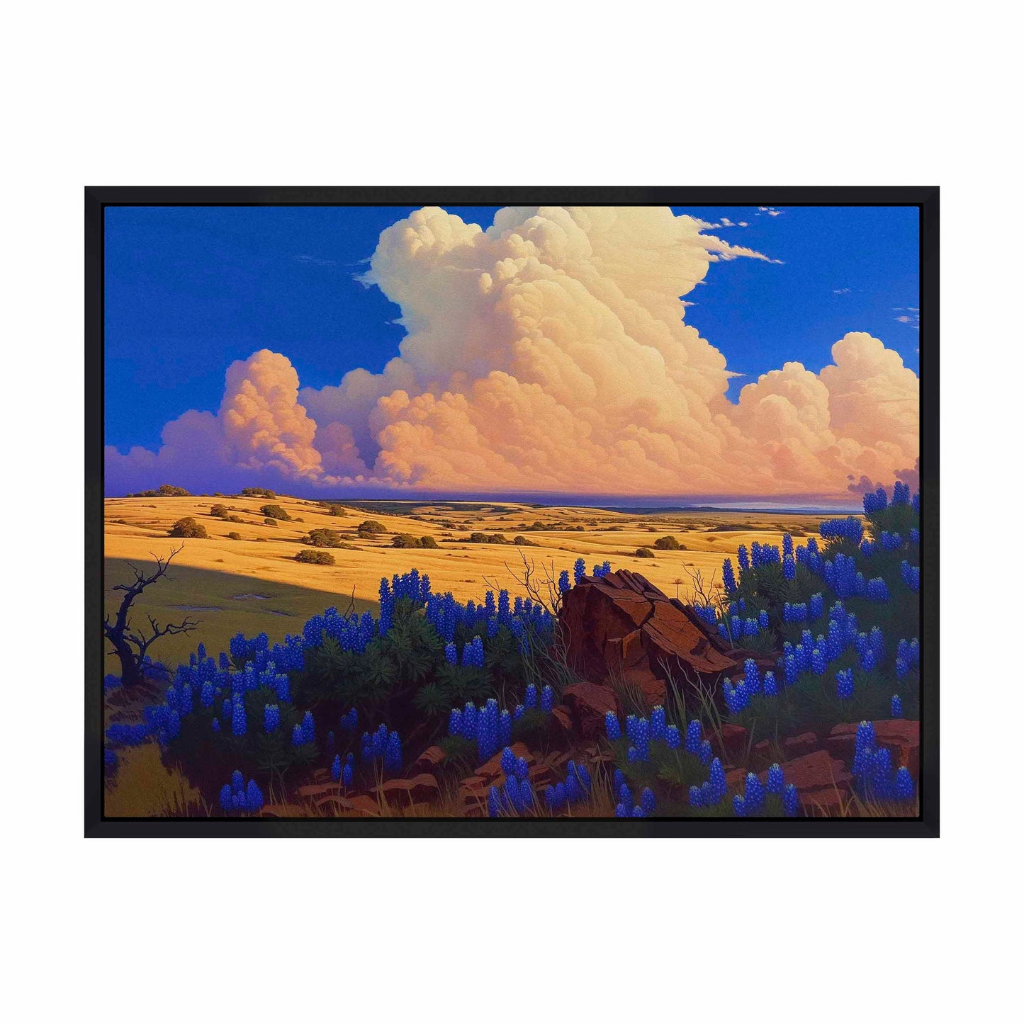 The Big Fields of Texas II - Gallery Wrapped Canvas