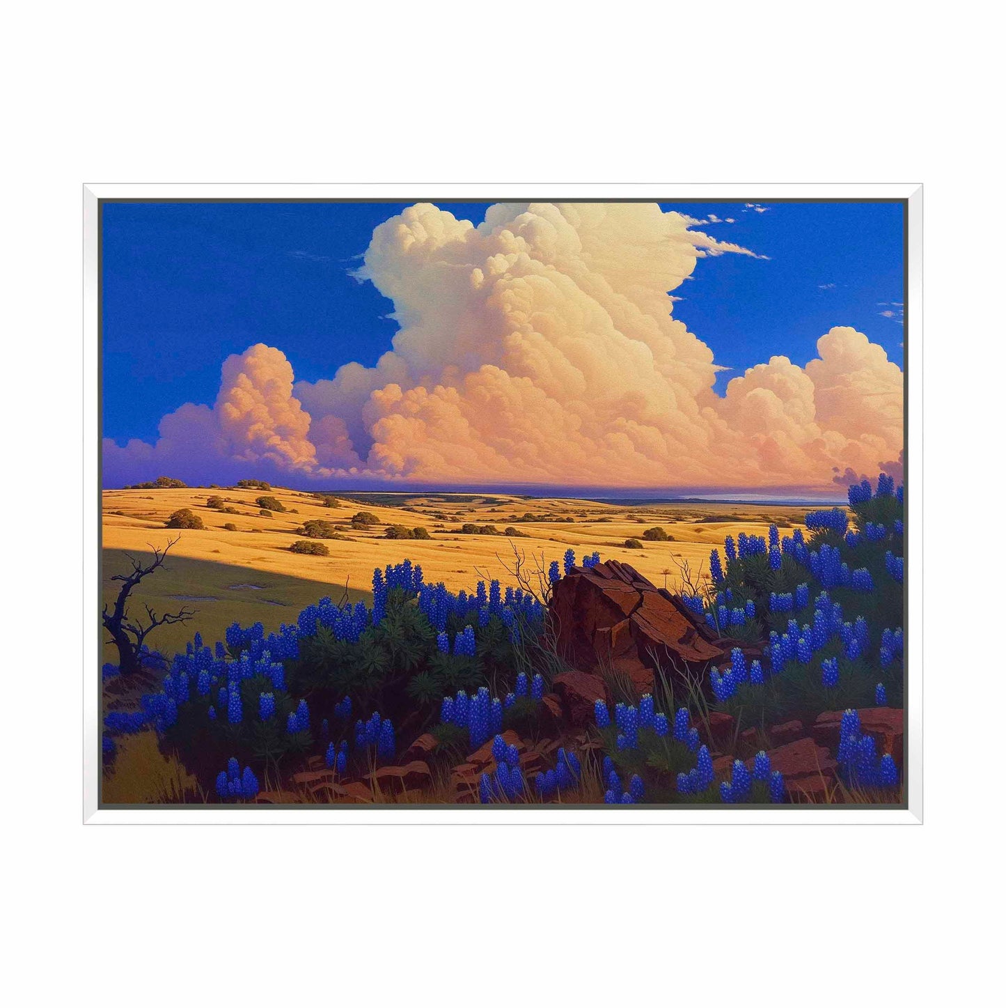 The Big Fields of Texas II - Gallery Wrapped Canvas